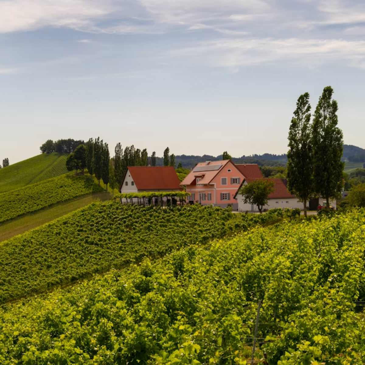 Château Miraval