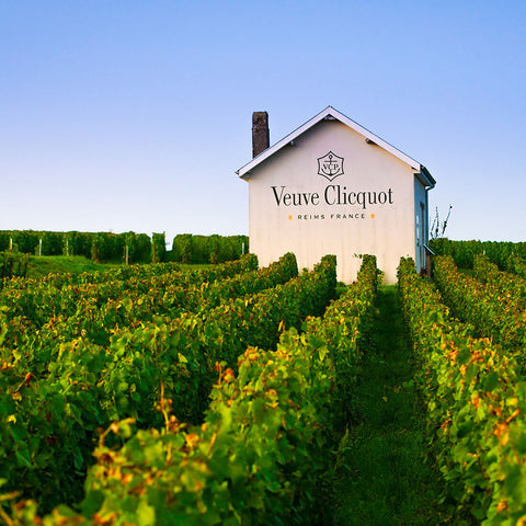Veuve Clicquot